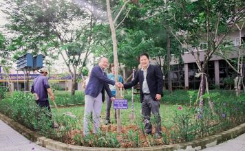 Thầy cô Trường ĐH Phú Xuân nhận cây xanh thay hoa dịp lễ 20.11